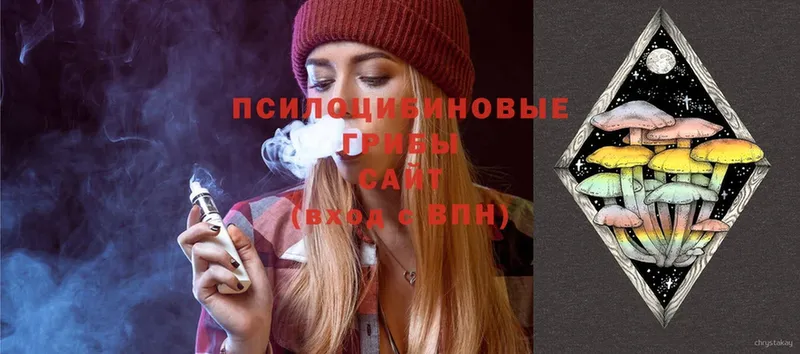 Псилоцибиновые грибы Psilocybine cubensis  Серафимович 